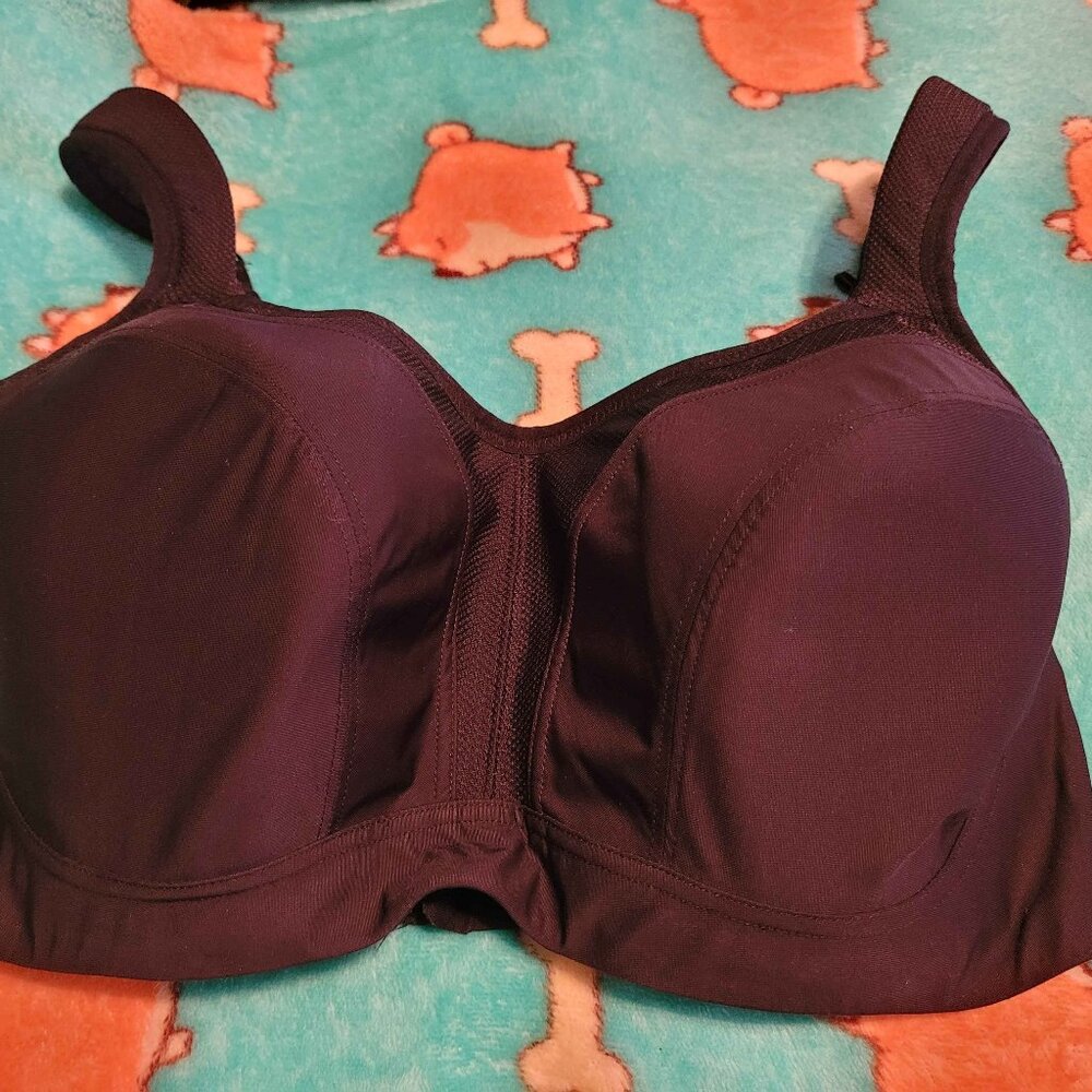 Panache Sports Bra